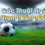 thuật ngữ cá độ bóng đá
